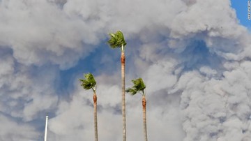 آتش سوزی کالیفرنیا