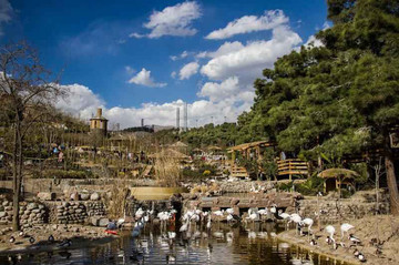 باغ پرندگان تهران