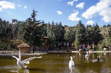 باغ پرندگان تهران