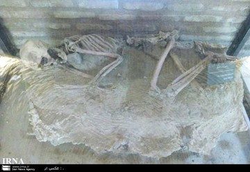  نمایش اسکلت ۵ هزار ساله در موزه نیشابور 