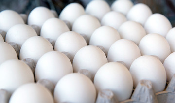 تصمیم دولت برای توزیع تخم‌مرغ ۱۶ هزارتومانی در میادین/ تخم مرغ داخلی ۱۶ هزار تومان و تخم خارجی ۱۳۸۰۰ تومان! 