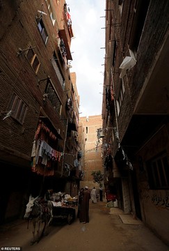 درمان با نیش زنبور عسل