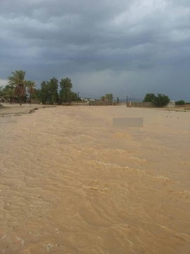 جاری شدن آب در روستای گربه‌ای، والفجر _ شمال بوشهر