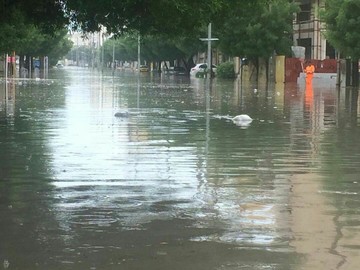 آبگرفتگی در خیابان عاشوری بوشهر