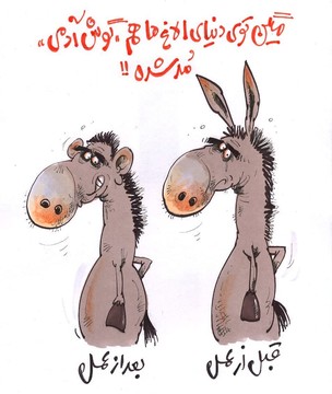 ببینید: الاغ قبل از عمل و بعد از عمل!