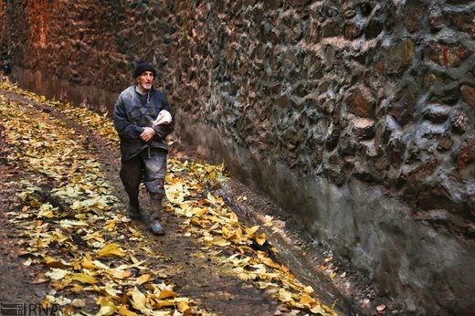 بارش باران در تهران
