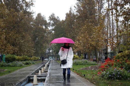 بارش باران در تهران
