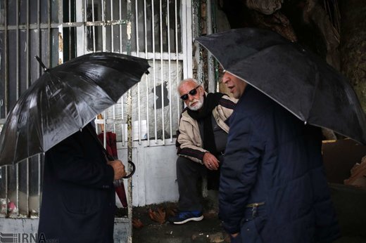 بارش باران در تهران