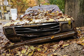 پاییز در کوچه باغ های تهران