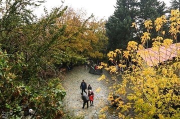 پاییز در کوچه باغ های تهران