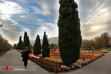 باغ گیاه شناسی ملی ایران