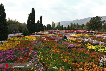 باغ گیاه شناسی ملی ایران