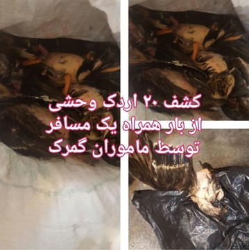 عکس | قاچاق اردک در گمرک شلمچه!