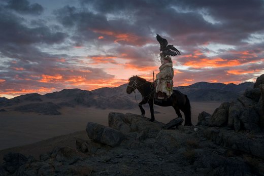 شکار با عقاب در مغولستان