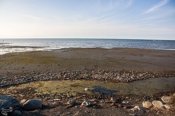 مرگ خلیج گرگان
