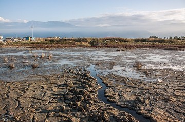 مرگ خلیج گرگان