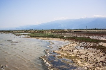 مرگ خلیج گرگان