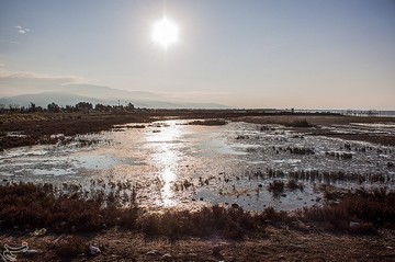 مرگ خلیج گرگان