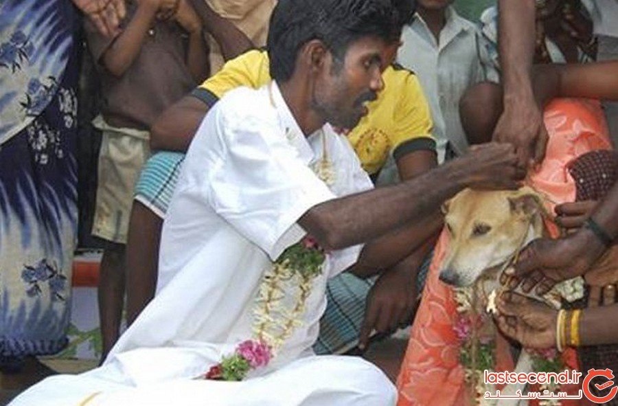 ازدواج با سگ در هند