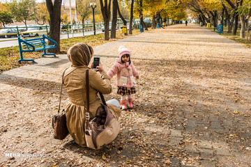 خیابان های پاییزی تبریز
