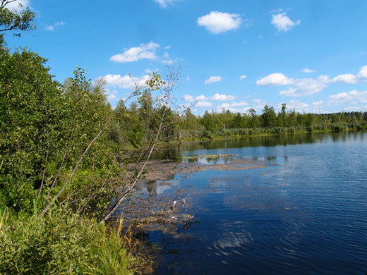 دریاچه Bezdonnoye در مسکو