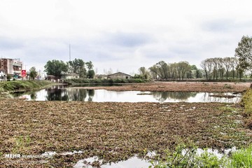تالاب عینک