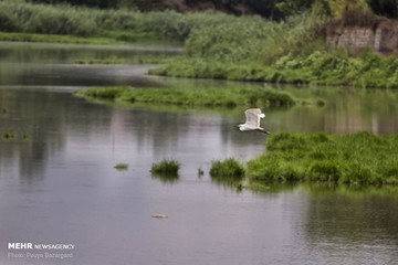 تالاب عینک