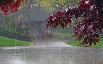بارش های البرز ۷۱.۷ میلی متر افزایش یافت