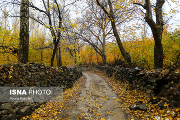 کوچه باغ‌های پاییزی گنجنامه در همدان
