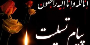 لاریجانی درگذشت والده طهرانچی را تسلیت گفت