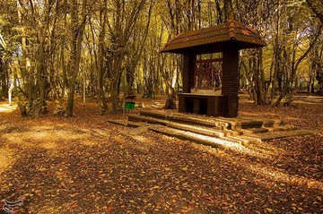 طبیعت پاییزی گرگان
