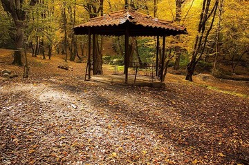طبیعت پاییزی گرگان