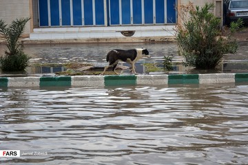 بارش باران و آبگرفتگی معابر اهواز