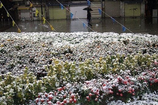 بارش برف پاییزی در همدان