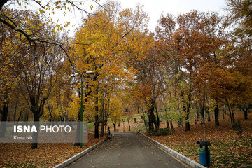 بارش باران در تهران