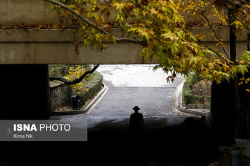 بارش باران در تهران