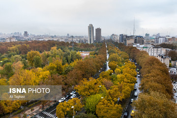 بارش باران در تهران