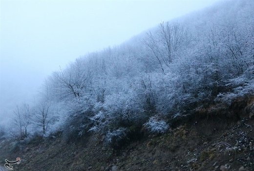 بارش برف پاییزی در ییلاقات گیلان