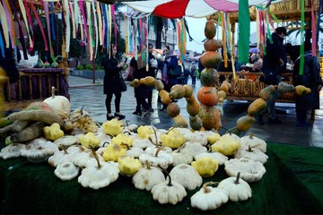 جشنواره کدو در رشت