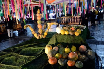 جشنواره کدو در رشت