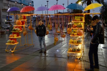 جشنواره کدو در رشت