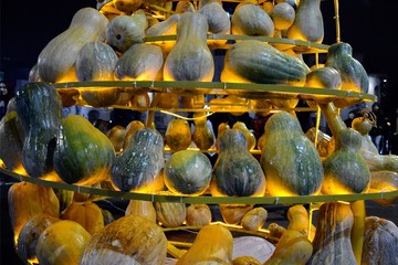 جشنواره کدو در رشت