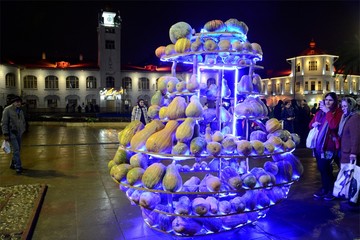 جشنواره کدو در رشت