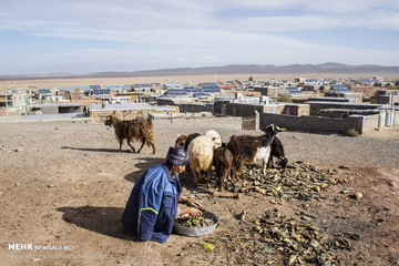 فروش برق در روستای چاه نسر