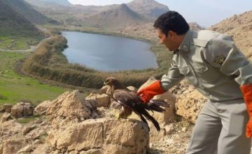 برنامه های اداره محیط زیست پلدختر در روز ملی پرنده نگری اعلام شد 