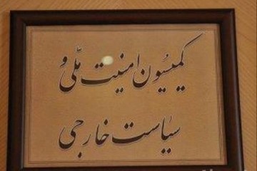 فلاحت پیشه: شورای عالی امنیت ملی به موضوع توئیت رضایی ورود کند