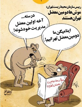 اینم واکنش موش‌ها به مدیریت شهری تهران!