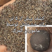 عکس | کشف ۵۰۰۰ کیلو دانه خشخاش در گمرک اینچه برون