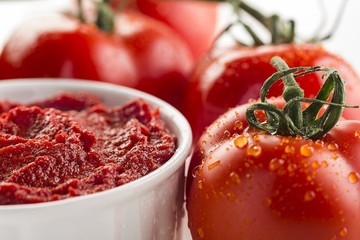 رب گوجه همچنان گران می شود