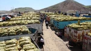 رفتار دوگانه عراق در تجارت محصولات کشاورزی با ایران  
